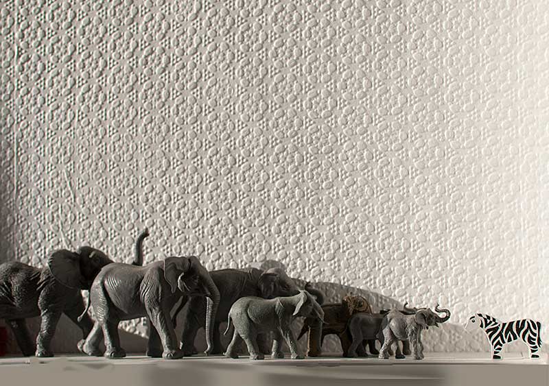 a herd of elephants